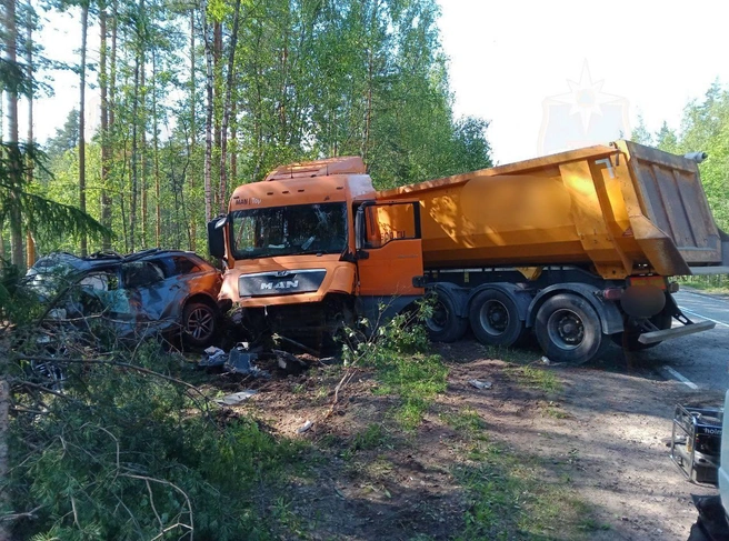 Петербургский ученый, чья компания тестировала «Спутник V», погиб в ДТП под Приозерском | Источник: Официальный канал Аварийно-спасательной службы Ленинградской области
