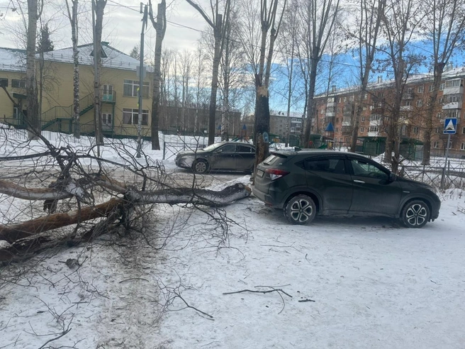 Маме мальчика предложили транспорт и сопровождение специалистов | Источник: читательница НГС Алена