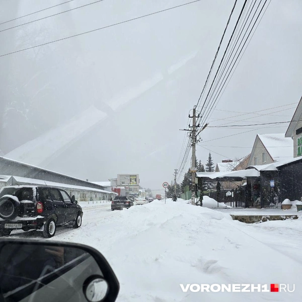 Источник: Ирина Булгакова /Voronezh1.ru