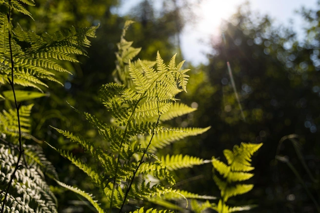 Типичное столбовское | Источник: Мария Ленц / NGS24.RU