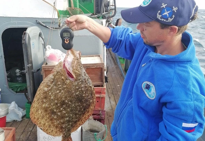 На увеличение пресного стока из Дона надежд не много | Источник: azniirkh.vniro.ru