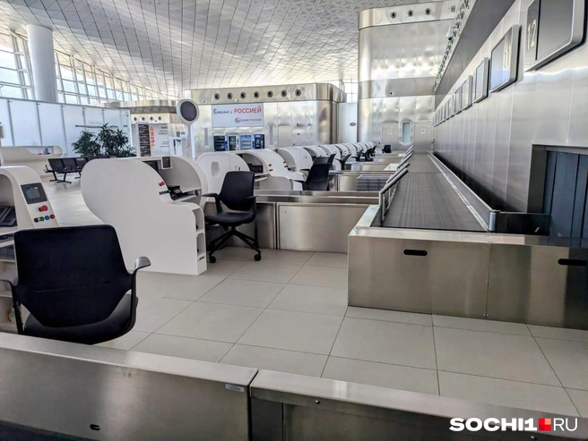 Так выглядят стойки регистрации | Источник: Оксана Витязь / SOCHI1.RU