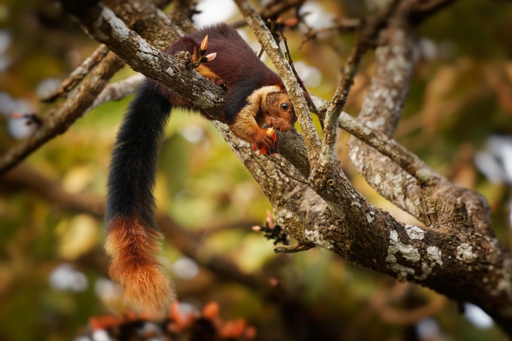 Источник: Shutterstock/Fotodom.ru