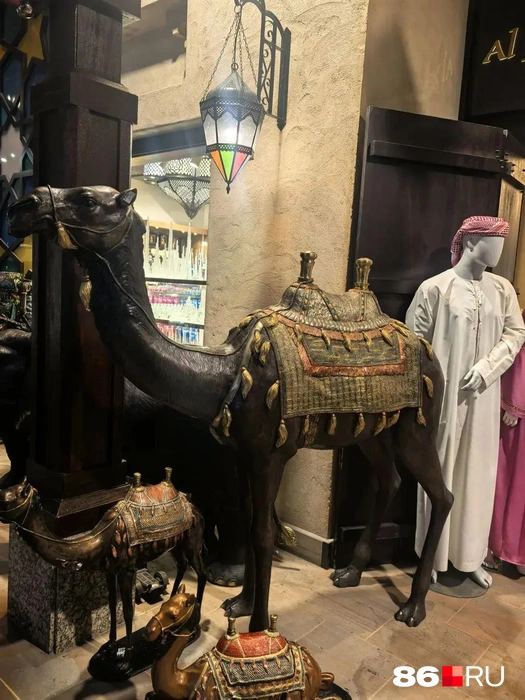 Найти на рынке можно буквально всё что угодно | Источник: Анастасия Шевякова / 86.RU