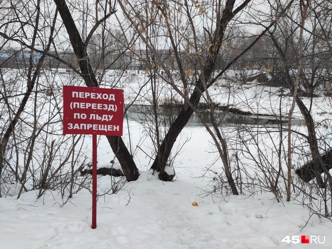 С провалившимся в полынью ребёнком в ЦПКиО всё хорошо | Источник: Алена Кисель