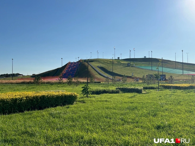 Зато на траве, наверное, нет клещей | Источник: Андрей Бирюков / UFA1.RU