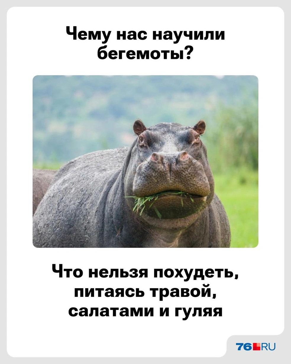 Наглядный пример | Источник: Городские медиа