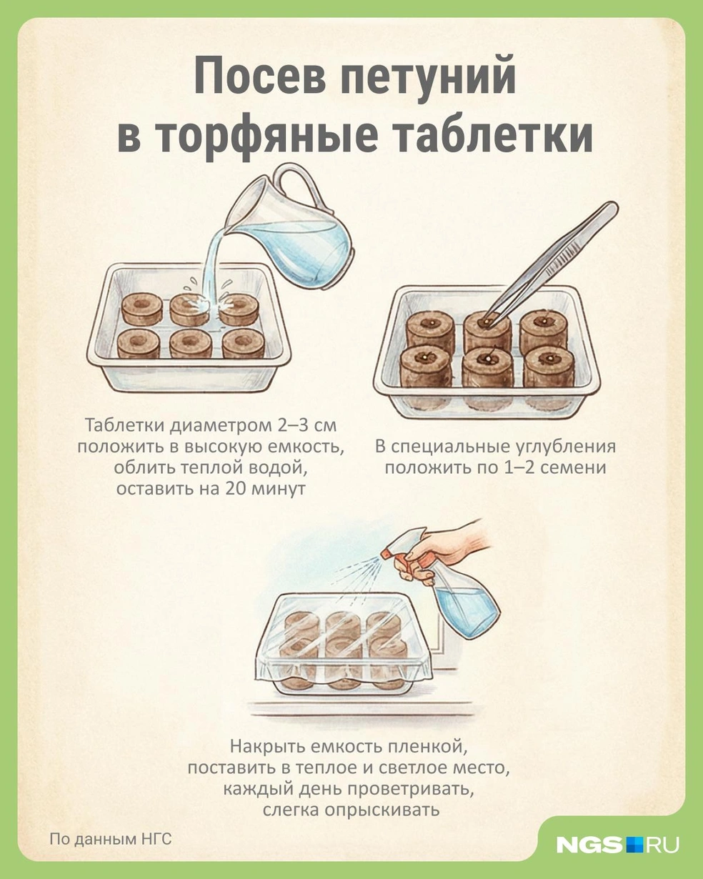 Источник: Юрий Орлов / Городские медиа