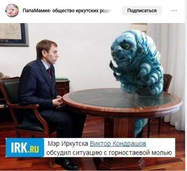Мем про встречу мэра с горностаевой молью | Источник: «ПапаМамия — сообщество родителей Иркутска» / vk.com
