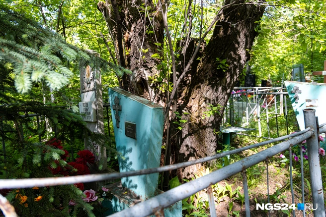 Некоторые могилы уже не видно | Источник: Мария Ленц / NGS24.RU