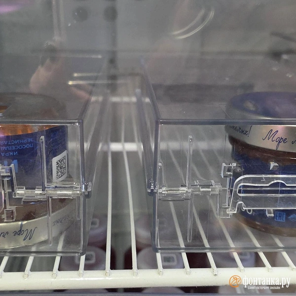 Источник: Наталья Вязовкина / FONTANKA.RU