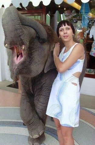 Доводилось ли вам гладить слонят? | Источник: Ольга Лифанова / vk.com