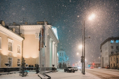 Эксперты о последствиях малоснежной зимы в Тюмени