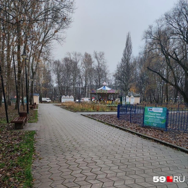 Неприятный запах лука мы почувствовали в нескольких десятках метров от его местонахождения | Источник: Наталия Главатских / 59.RU