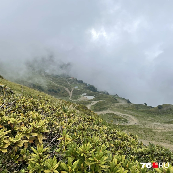 Из-за облаков была видна лишь часть панорамы | Источник: Кирилл Поверинов / 76.RU
