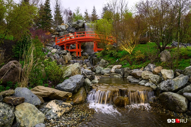 Далеко не все готовы стоять в очереди, чтобы просто прогуляться здесь | Источник: Евгений Вдовин / 161.RU