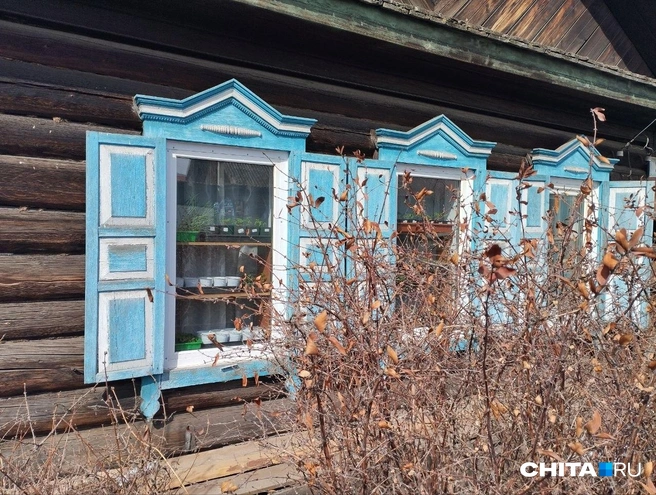 Источник: Сергей Бумагин / CHITA.RU