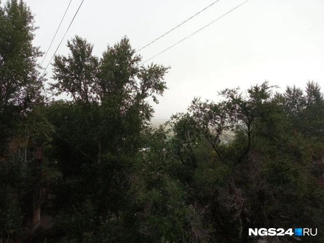 Вообще там на заднем плане обычно видно сопку | Источник: читатель NGS24.RU