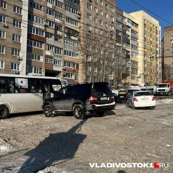 Источник: Елена Буйвол / VLADIVOSTOK1.RU