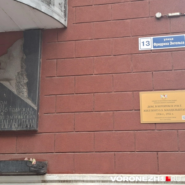 Источник: Алёна Воропаева / Voronezh1.ru