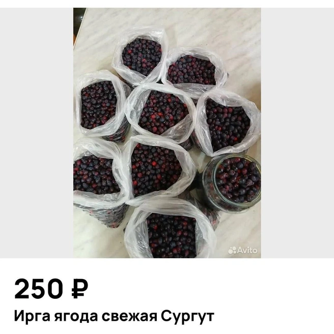 Ирга содержит большое количество витаминов и минеральных веществ | Источник: Avito.ru