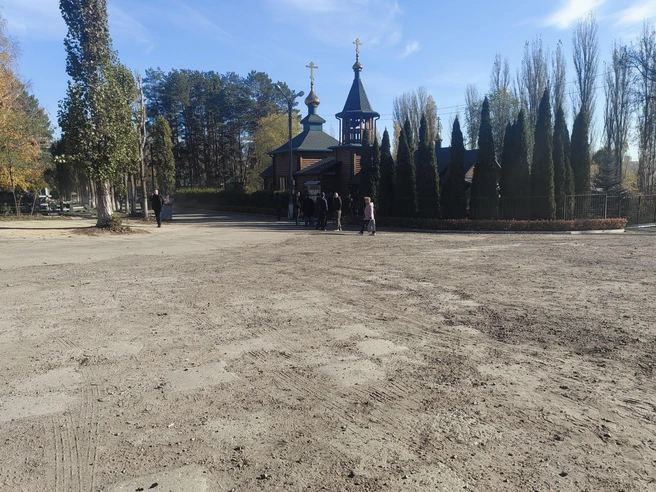 Источник: Андрей Пашинский / Voronezh1.ru