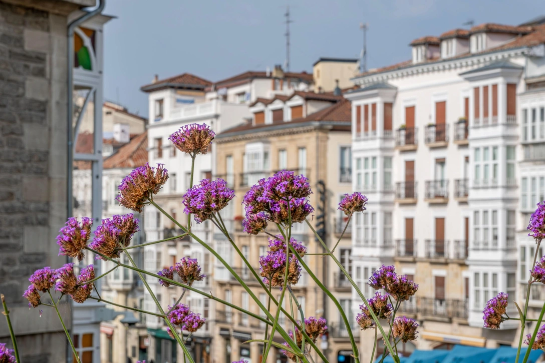 7 вечнозеленых растений, которые можно выращивать на балконе до холодов: советы эксперта | Источник: Msubirats / Legion Media