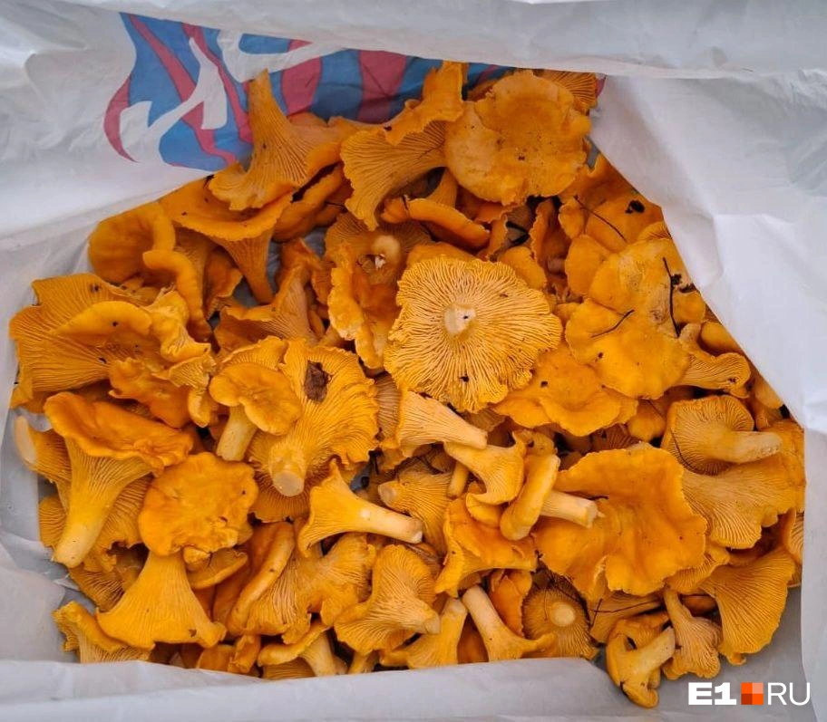 Источник: читательница E1.RU Светлана