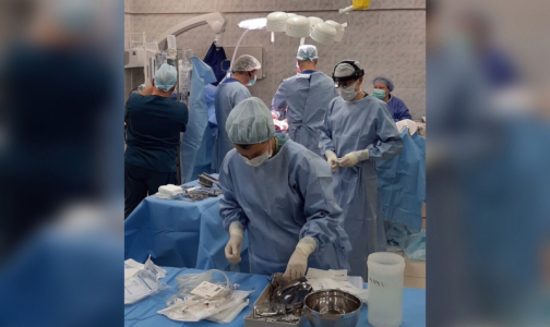 В Петербурге впервые выполнена трансплантация поджелудочной железы