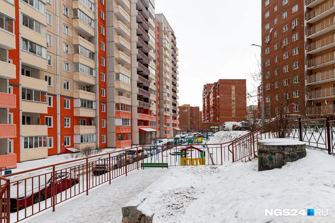 Раз | Источник: Мария Ленц / NGS24.RU