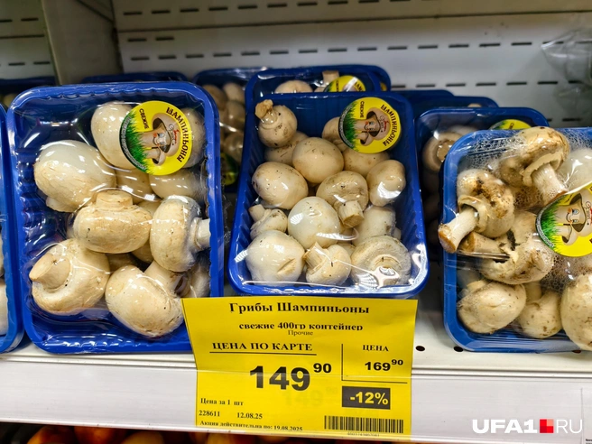 А шампиньоны вообще здесь завсегдатаи | Источник: Булат Салихов / UFA1.RU