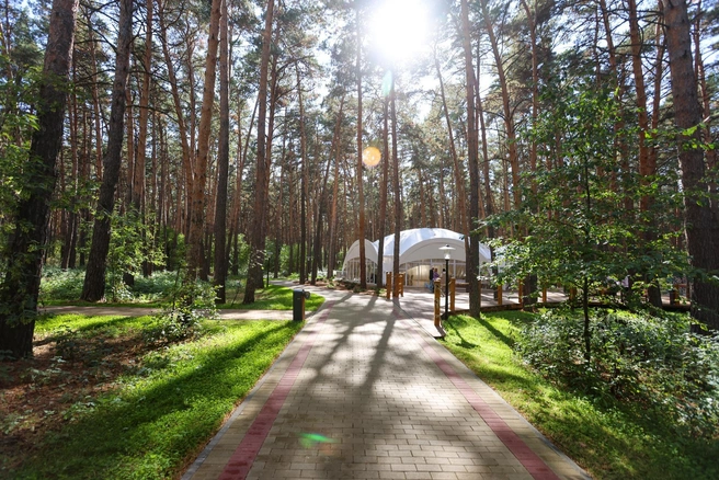 С заявлением в суд обращалась прокуратура | Источник: Hotel-mechta.ru