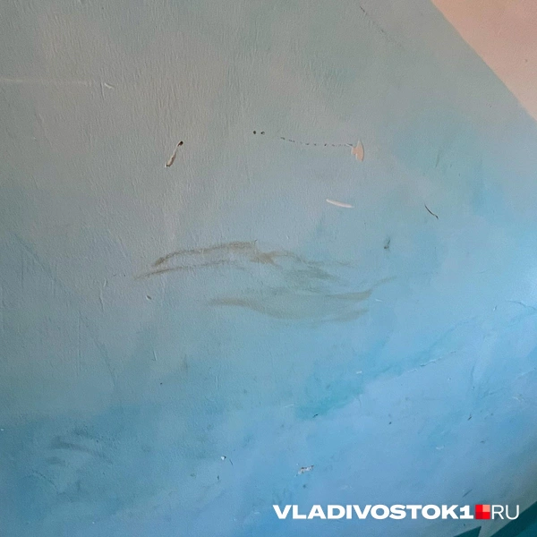 Источник: Елена Буйвол / VLADIVOSTOK1.RU