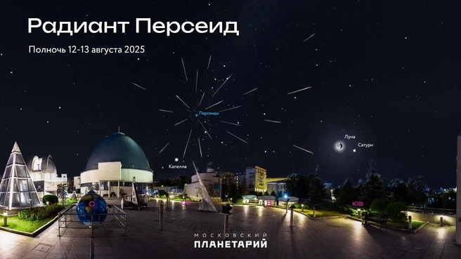 Пик потока придется на 12 августа | Источник: Московский планетарий