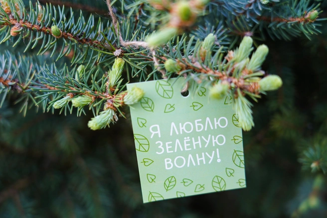 Для городских жителей акция «Зелёная волна»&nbsp;— отличная возможность отложить телефон, собраться вместе на свежем воздухе и сделать хорошее дело | Источник: Фонд Олега Дерипаска «Вольное Дело»