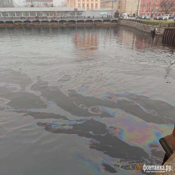 Источник: читатель «Фонтанки»
