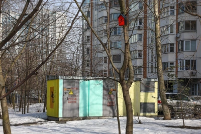 Новости Югры 9 апреля: крысы, ледоход и Пасха