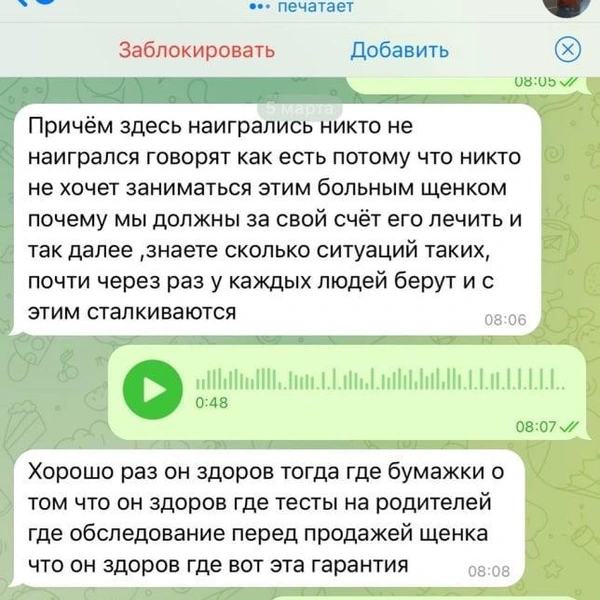 Источник: Дарья Сапова