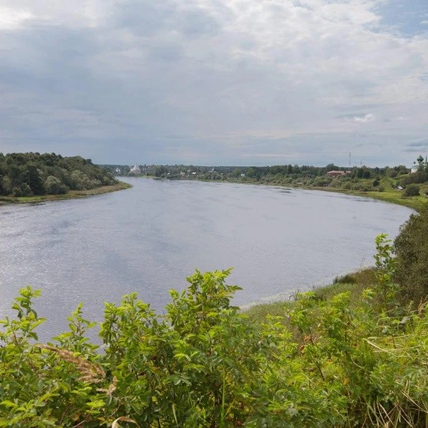 Источник: Администрация Ленобласти