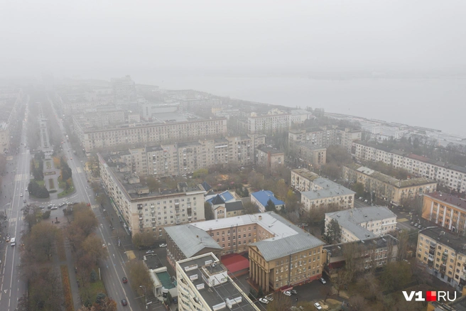 Первый осенний туман синоптики обещают уже в будущий вторник | Источник: Алексей Волхонский / V1.RU