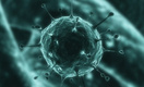 Российские ученые разработали тест-систему для коронавируса