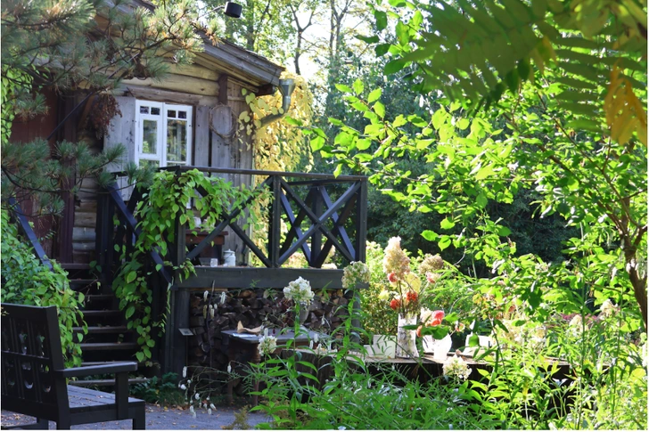 Источник: Екатерина Кикина