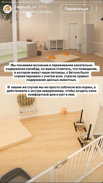 Как выглядит зона, где обитают капибары | Источник: capycafe / Instagram (экстремистская организация, деятельность запрещена на территории РФ)