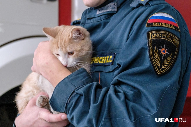 На ручках сидеть понравилось | Источник: Булат Салихов / UFA1.RU