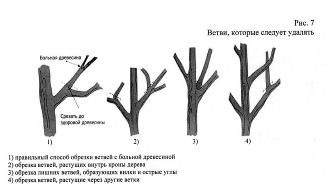 Источник: методические материалы администрации