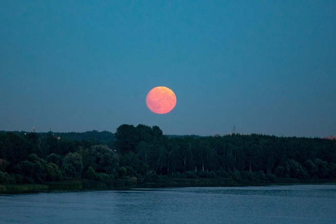 Астролог рекомендует быть ближе к воде | Источник: Кирилл Поверинов / 76.RU