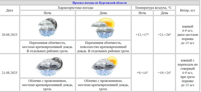 Курганские синоптики сообщают о грозах и кратковременном дожде 20 и 21 августа | Источник: kurganpogoda.ru