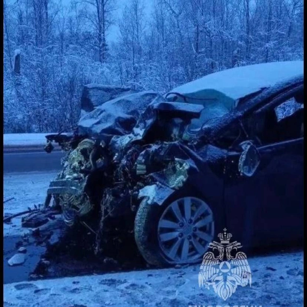 В ДТП на «Коле» погибли супруги, ребенок в больнице. Предполагаемая виновница жива | www.fontanka.ru