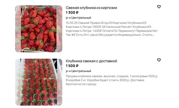 Источник: avito.ru