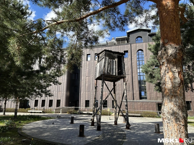 Убрали лагерную вышку | Источник: Андрей Кузнецов / MSK1.RU